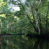 Little Pee Dee River Little Pee Dee River